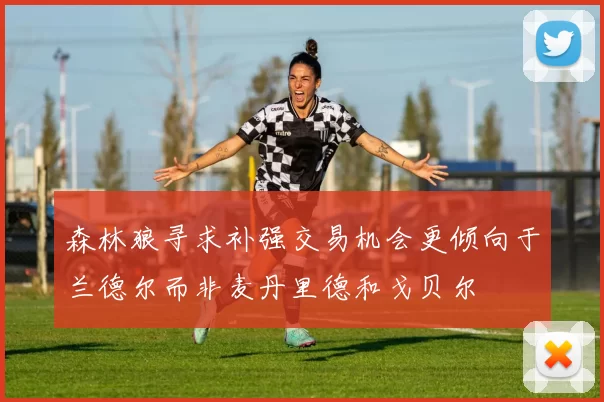 森林狼寻求补强交易机会更倾向于兰德尔而非麦丹里德和戈贝尔